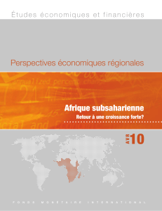 10 Afrique subsaharienne Perspectives économiques régionales