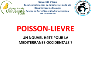 POISSON-LIEVRE UN NOUVEL HôTE POUR LA MEDITERRANEE OCCIDENTALE ? Université d'Oran