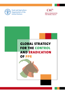Global Strategy for the control and eradication of PPR