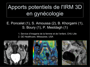 Apports potentiels de l'IRM 3D en gynécologie
