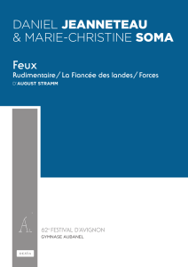 Feux JEANNETEAU SOMA Rudimentaire / La Fiancée des landes / Forces