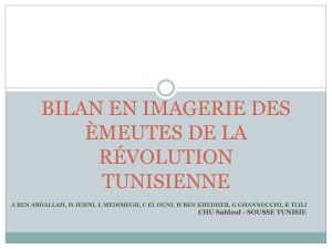 Télécharger le poster (PDF)