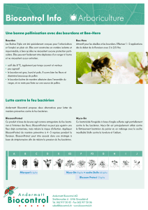 Biocontrol Info Arboriculture Une	bonne	pollinisation	avec	des	bourdons	et	Bee-Here