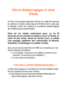 Fièvre hémorragique à virus Ébola