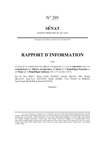 RAPPORT D´INFORMATION N° 205 SÉNAT