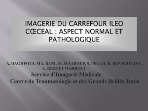 Service d’Imagerie Médicale Centre de Traumatologie et des Grands Brûlés Tunis