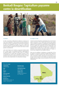 Benkadi Bougou: l’agriculture paysanne contre la désertification 31 Contexte