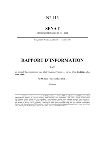 RAPPORT D’INFORMATION N° 113 SENAT