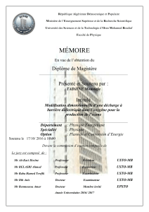 MÉMOIRE  Diplôme de Magistère Présenté et Soutenu par :