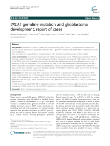BRCA1 germline mutation and glioblastoma development: report of cases Open Access