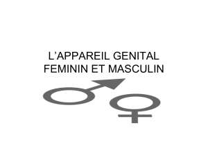 L’APPAREIL GENITAL FEMININ ET MASCULIN