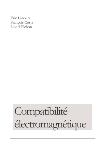 Cotnpatibilité électrotnagnétique Lionel Pichon Eric Labouré