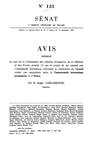 AVIS SENAT N° 133