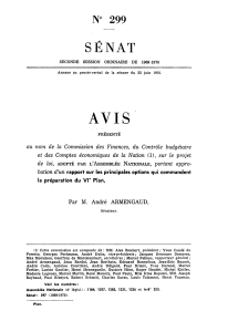 SÉNAT AVIS N° 299