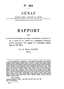 SÉNAT RAPPORT N 384