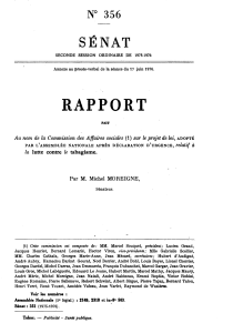 RAPPORT SENAT N 356