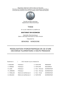 MODELISATION HYDRODYNAMIQUE EN 3D D'UNE DECHARGE FILAMENTAIRE A HAUTE PRESSION - application/pdf