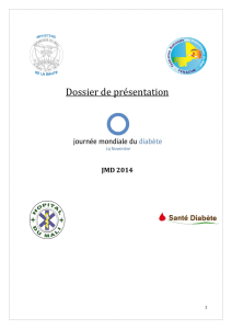 document projet jmd version finale 01112014