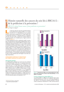 L Histoire naturelle des cancers du sein liés à BRCA1/2 : D