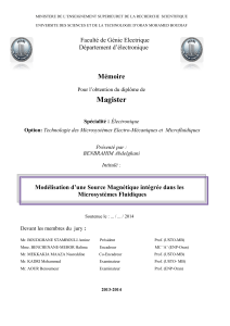 Modélisation d’une Source Magnétique intégrée dans les Microsystèmes Fluidique - application/pdf