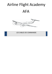 Airline Flight Academy AFA  LES CABLES DE COMMANDE