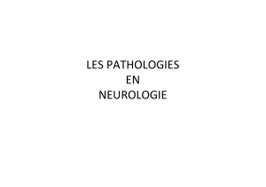 LES PATHOLOGIES EN NEUROLOGIE
