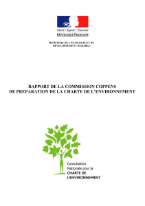 Télécharger Rapport de la Commission Coppens de préparation de la Charte de l'environnement au format PDF, poids 167.52 Ko