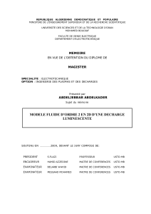 MODELE FLUIDE D’ORDRE 2 EN 2D D’UNE DECHARGE LUMINESCENTE - application/pdf