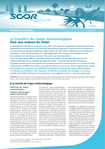 Le transfert du risque météorologique face aux enjeux du futur Newsletter technique