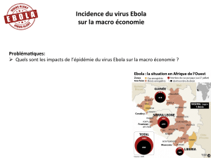 ebola oms impact economique