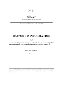 RAPPORT D´INFORMATION N° 91 SÉNAT