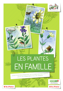 EN FAMILLE LES PLANTES  LES 10 FAMILLES DE PLANTES