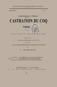 these castration coq 1931