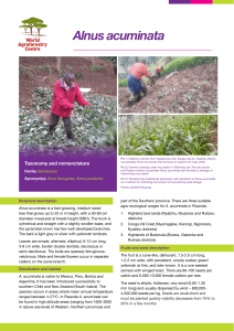 2016 -Product: Mukularinda et al, 2016. Alnus acuminata protocal-Fact sheet- Rwanda