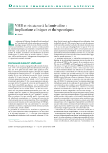 VHB et résistance à la lamivudine : implications cliniques et thérapeutiques D