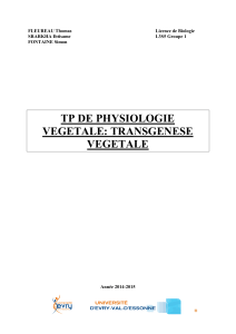 TP DE PHYSIOLOGIE VEGETALE: TRANSGENESE VEGETALE FLEUREAU Thomas
