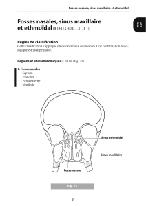 Fosses nasales, sinus maxillaire et ethmoïdal (ICD-O, C30.0, C31.0, 1) Règles de classiﬁcation