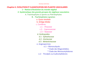 Chapitre II. EVOLUTION ET CLASSIFICATION DES PLANTES VASCULAIRES