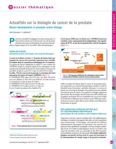 P Actualités sur la biologie du cancer de la prostate d