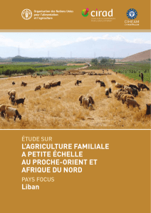 L’AGRICULTURE FAMILIALE A PETITE ÉCHELLE AU PROCHE-ORIENT ET AFRIQUE DU NORD