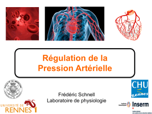 Régulation de la Pression Artérielle Frédéric Schnell Laboratoire de physiologie