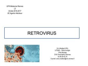 RETROVIRUS UFR Médecine Rennes L3