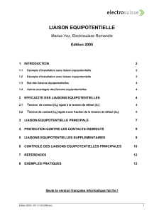 LIAISON EQUIPOTENTIELLE Marius Vez, Electrosuisse Romandie Edition 2005