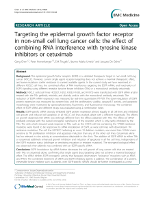 Targeting the epidermal growth factor receptor