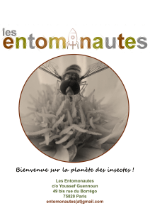 Bienvenue sur la planète des insectes ! Les Entomonautes c/o Youssef Guennoun