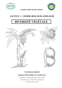 DIVERSITÉ VÉGÉTALE LICENCE 1 : CHIMIE-BIOLOGIE-GÉOLOGIE  N’GUESSAN KOFFI