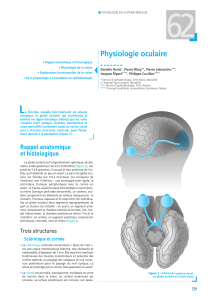 62 Physiologie oculaire