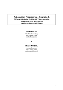 Articulation Programme &ndash; Publicit&eacute; &amp; Efficacit&eacute; de la Publicit&eacute; T&eacute;l&eacute;visuelle: