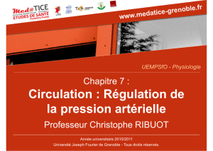 Circulation : Régulation de la pression artérielle Chapitre 7 : Professeur Christophe RIBUOT