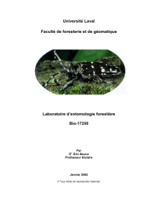 Université Laval Faculté de foresterie et de géomatique Laboratoire d’entomologie forestière Bio-17250